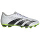 Adidas Predator Accuracy.4